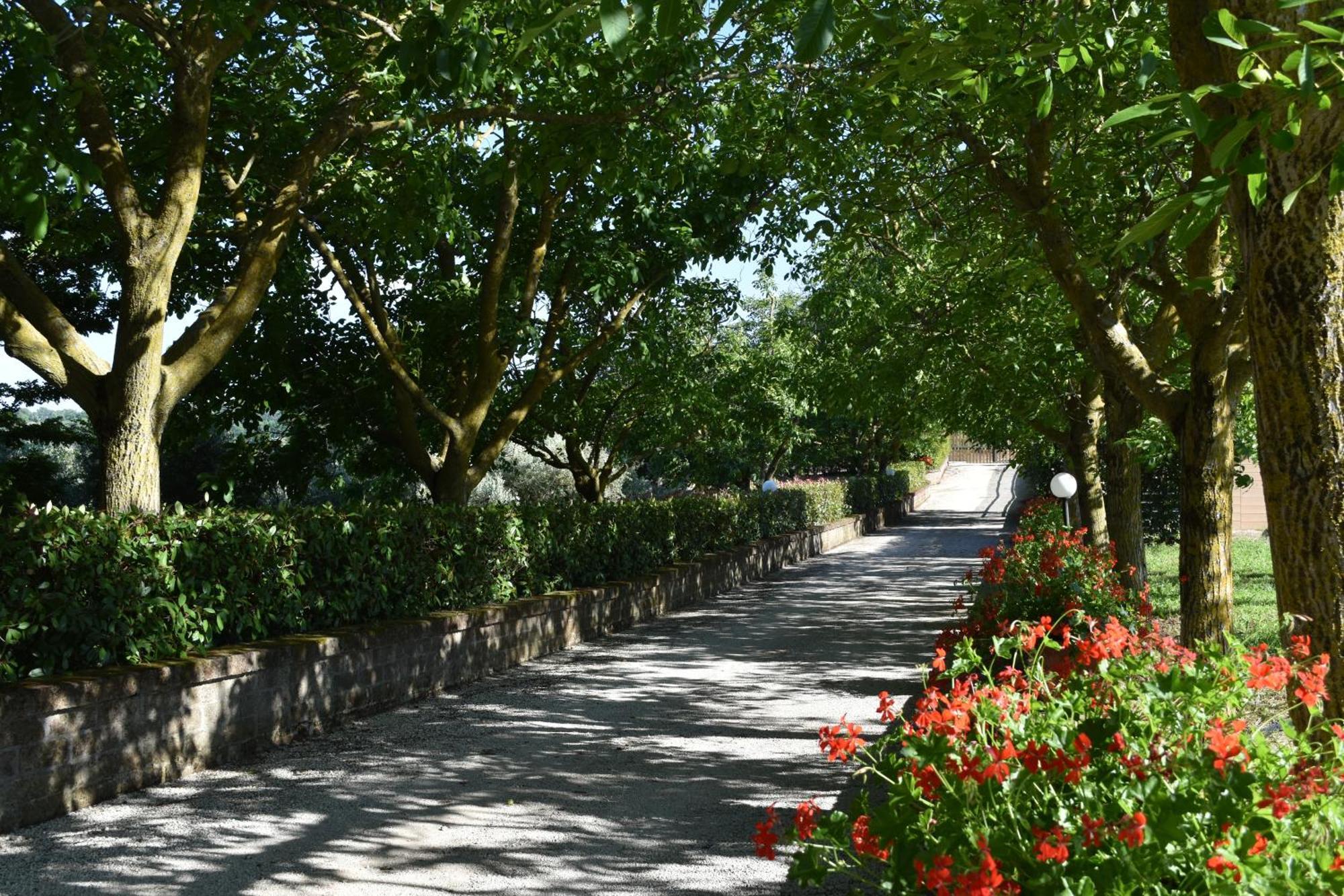 Agriturismo Le Ginestre Villa Capodimonte Exterior photo