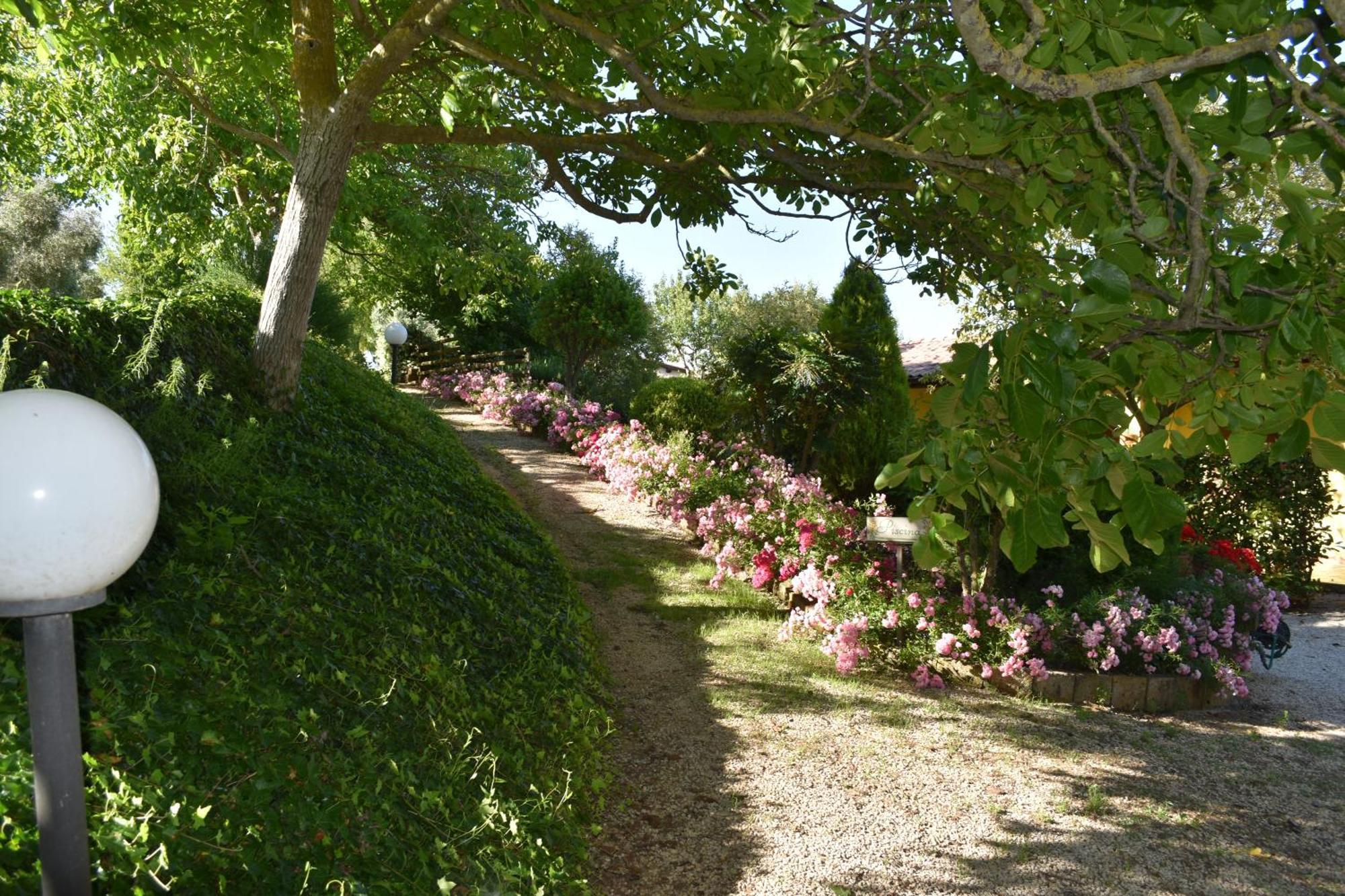 Agriturismo Le Ginestre Villa Capodimonte Exterior photo