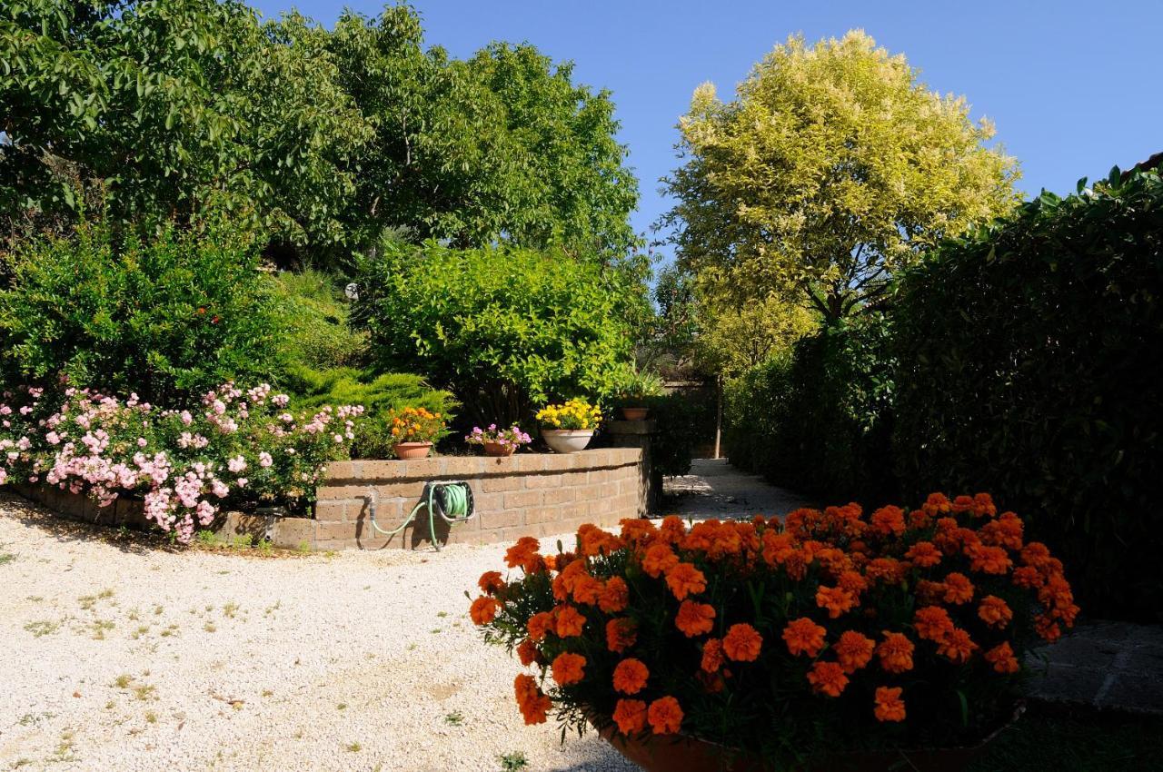 Agriturismo Le Ginestre Villa Capodimonte Exterior photo